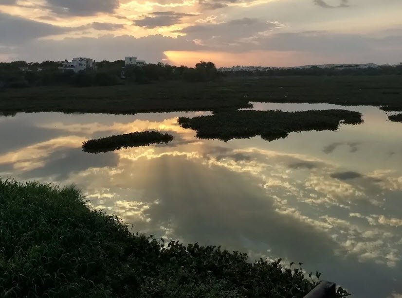 Gandigudem Cheruvu, Ranga Reddy, Telangana - Vushii.com Gandigudem Cheruvu, Ranga Reddy, Telangana - Vushii.com